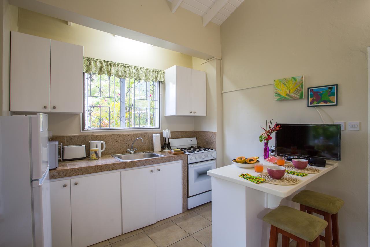 Smithy'S Eco-Apartment Morne Jaloux Ridge Экстерьер фото